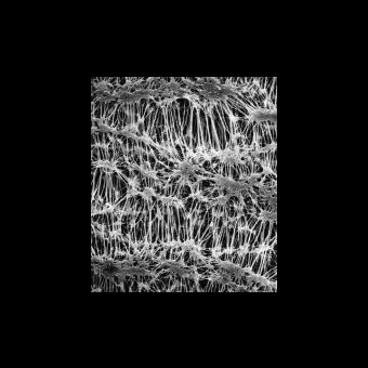 Фильтр, Флуоропор, d пор 3,0 мкм, d мембраны 25 мм, 100 шт., Merck Millipore, FSLW02500