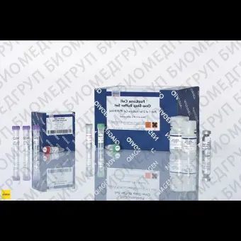 Набор FastLane Cell Multiplex Kit 200, Qiagen, 216513, 200 реакций