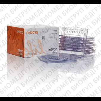 Гель полиакриламидный Bolt BisTris Mini Protein Gel, 8 х 8 см, 15 лунок, 12, Thermo FS, NW00125BOX, 10 шт./уп.