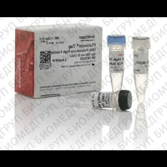 ДНКполимераза Platinum Taq DNA Polymerase High Fidelity, Thermo FS, 11304102, 5000 реакций