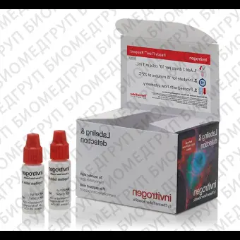 Набор Propidium Iodide Ready Flow Reagent, для проточной цитометрии, 2х2,5 мл, 120 тестов, Thermo FS, R37169