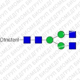 Nгликан AdvancedBio InstantQ G0/A2 асиало, агалакто, биантенный комплекс Nгликан ранее ProZyme. Nгликан, помеченный InstantQ, для использования в качестве качественного стандарта с системой анализа гликанов GlyQ. Альтернативные названия гликанов