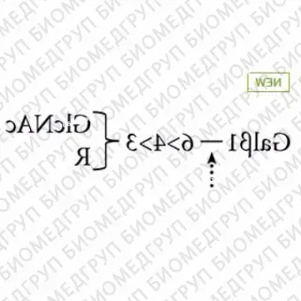 14,6галактозидаза фасоль джек ранее ProZyme