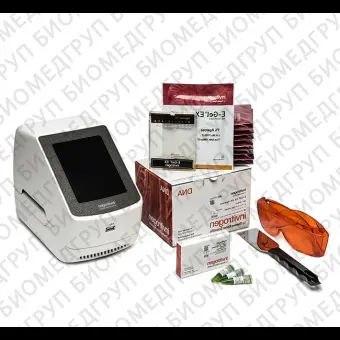 Электрофорезная горизонтальная система EGel Power Snap Electrophoresis System Starter Kit, EX 1, Thermo FS, G8341ST