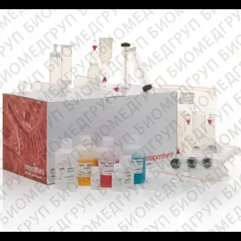 Набор PureLink Fast LowEndotoxin Midi Plasmid Purification Kit, Thermo FS, A36227, 50 выделений