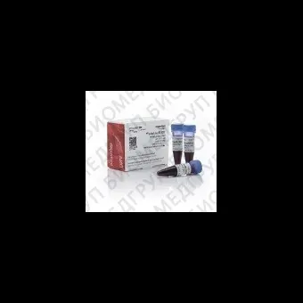 Буфер загрузочный BlueJuice Gel Loading Buffer, 10X, Thermo FS, 10816015, 3х1 мл