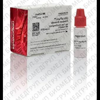 Краситель Ethidium Bromide, 0,625 mg/mL, UltraPure, Thermo FS, A25645, 1 мл