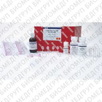 Набор RNeasy Lipid Tissue Mini Kit для выделения тотальной РНК50 реакций