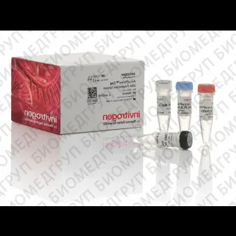 Набор AccuPrime Taq DNA Polymerase System, Thermo FS, 12339024, 1000 реакций