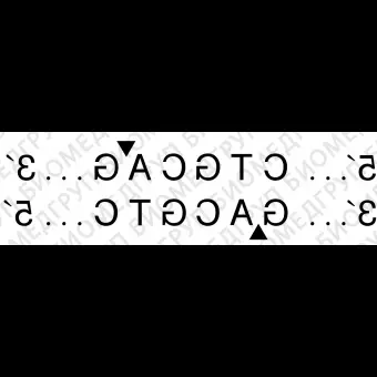 Эндонуклеаза рестрикции PstI, 10 0000 ед/мл, New England Biolabs, R0140 T, 10 000 единиц