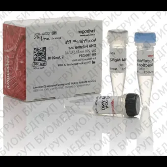 ДНКполимераза AccuPrime Pfx DNA Polymerase, Thermo FS, 12344032, 1000 реакций