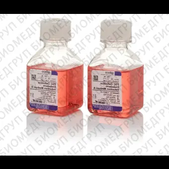 Набор PSC Definitive Endoderm Induction Kit, Thermo FS, A3062601, 1 набор