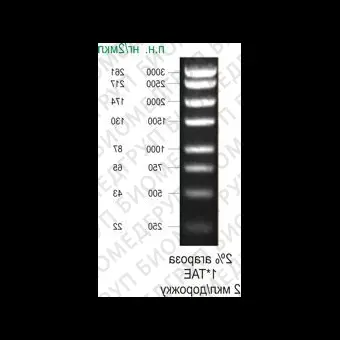 Маркер длин ДНК, 3000, 8 фрагментов от 250 до 3000 п.н, готовый к применению, 0,1 мг/мл, Диаэм, 1910, 50 мкг