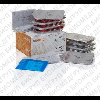 Мембраны iBlot Transfer Stack, для переноса белков, 0,2 мкм, PVDF, 8 x 8 см, Thermo FS, IB401032, 3х10 шт./уп.