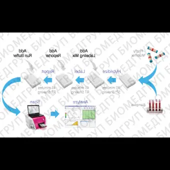 Панель для профилирования миРНК, Multiplex miRNA Assay Oncology Panel  Circulating, Abcam, ab203185, 96 тестов