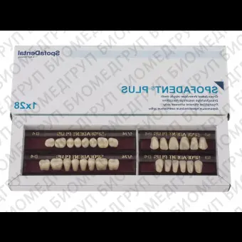 Spofadent Plus D4 53531/74