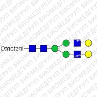 Nгликан AdvanceBio InstantQ G2/A2G2 асиало, галактозилированный биантенный комплекс Nгликан ранее ProZyme. Nгликан, меченный InstantQ, для использования с системой анализа гликанов GlyQ. Альтернативные названия гликанов: G2, G2F, A2G2, A2G42,