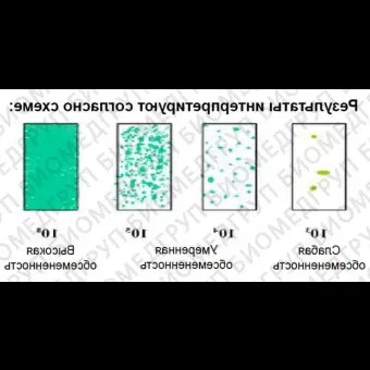 Микробиологические экспресстесты для определения КМАФАнМ ОМЧ и Enterobacteriaceae с нейтрализатором дезсредств, двухсторонние, DipSlides, 10 шт/уп, Thermo FS, DS0169A