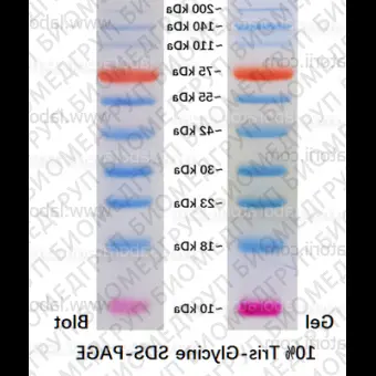 Маркер белковый, окрашенный, длина фрагментов 10  200 кДа, 250 мкл