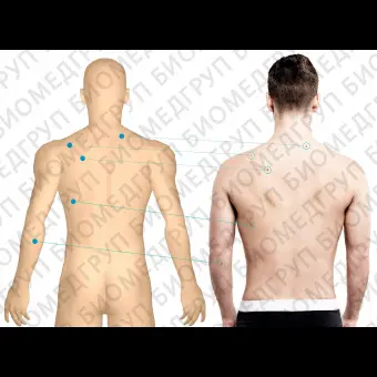 Программное обеспечение телемедицина Full Body Imaging/ Molematch / MoleMap