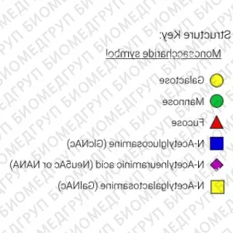 AdvanceBio InstantQ G2S2 2,3 / A2G2S32 Стандарт Nгликанов ранее ProZyme. Nгликан ди2,3сиалилированный, галактозилированный двухантенный Nгликан, меченный InstantQ, для использования в качестве качественного стандарта с системой анализа гл