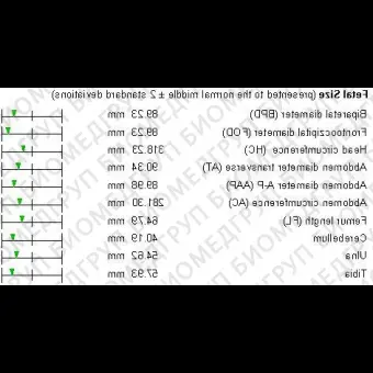 Модуль программного обеспечения для акушерского осмотра Obstetrics