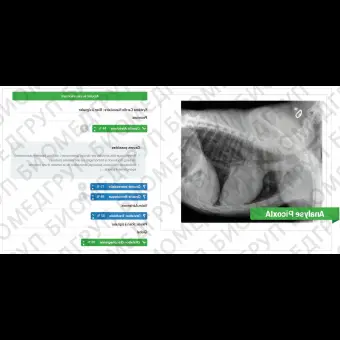 Программное обеспечение для рентгенологии PICOXIA