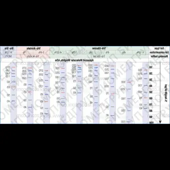 Маркеры молекулярной массы белков Spectra Multicolor, окрашенные, 40300 кДа, 2 х 250 мкл