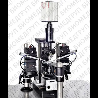 Оптический микроскоп Scientifica SliceScope Pro 1000