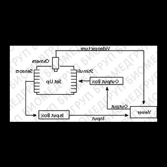 Программное обеспечение для исследований на животных PermaTrack