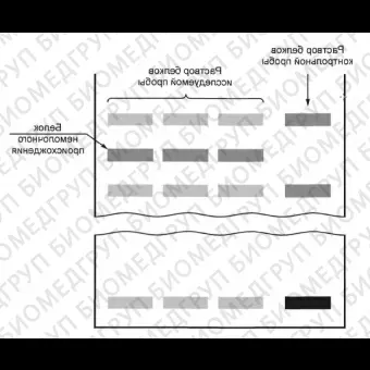 Набор оборудования для определения фальсификации белкового состава молока с помощью вертикального электрофореза в полиакриламидном геле ПААГ, Vilber, ПААГсистема