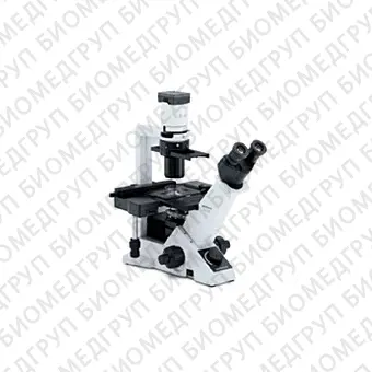 Микроскоп инвертированный CKX53, Olympus, CKX53
