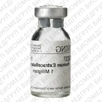 Внеклеточный матрикс человека CORNING1 мг