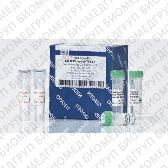 Мастермикс QuantiTect SYBR Green PCR Kit1000 реакций