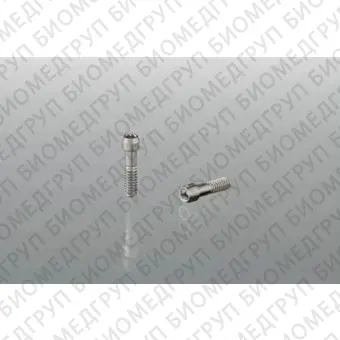 Abutment Screw, винты для TiBase и ScanPost, S BL 3.3, 4.1 совместим с TiBase / ScanPost S BL 3.3, 4.1