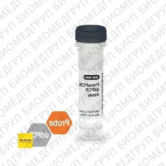 Набор EIF2C1 CNV PrimePCR ddPCR, 200 реакций, BioRad, 1863300