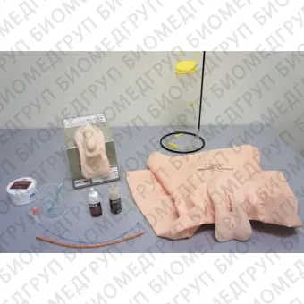 Медицинский симулятор для оказания гинекологических услуг M2006