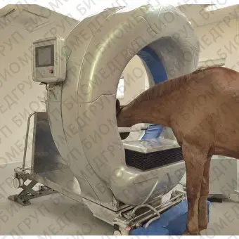 Ветеринарный рентгеновский сканер Pegaso
