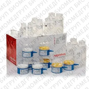 Набор PureLink Expi EndotoxinFree Mega Plasmid Purification Kit, Thermo FS, A31232, 4 выделения