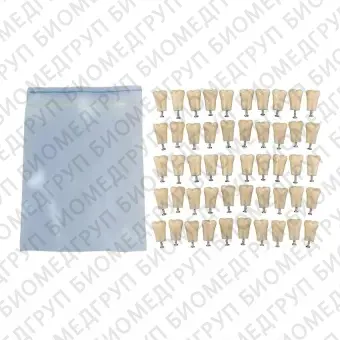 З321.50  комплект из 50 модельных зубов для дентомоделей ЧВН32