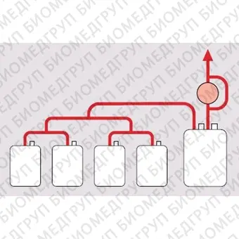 Система фильтрации для удаления лейкоцитов из эритроцитов после разделения крови на компоненты BPF4: BPF4NEOL