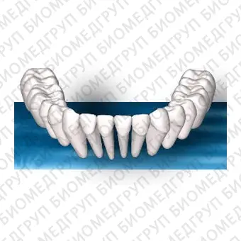 Программное обеспечение для стоматологии ORTHUP