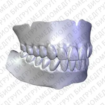Программное обеспечение для стоматологических лабoраторий BDCreator