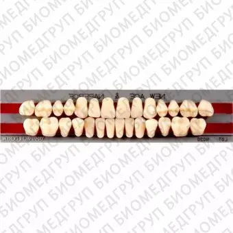 Гарнитуры пластмассовых зубов T3 M32, цвет А3, в боксе, 20 гарнитур