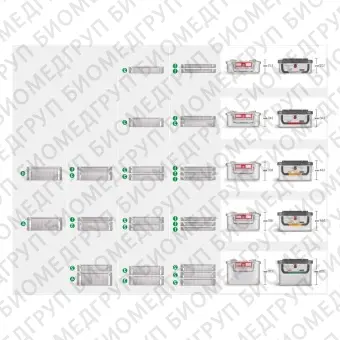 Контейнер для стерилизации marSafe 3/4, зеленая рамка, 473014см KLS Martin