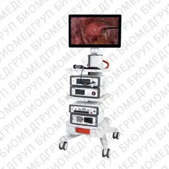 Эндоскопический инсуффлятор для взрослых ENDO flator 200/300/450