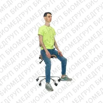 SmartStool SM03B  эргономичный стулседло со спинкой