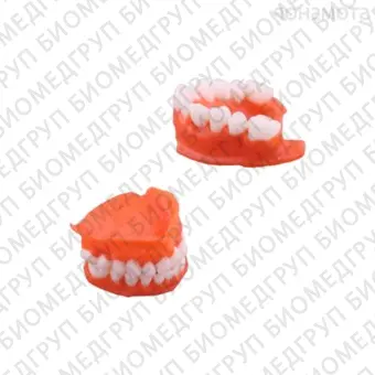 Gorky Liquid Dental Base FL SLA  фотополимерная смола для демонстрационных моделей десны, цвет розовый, 1 кг
