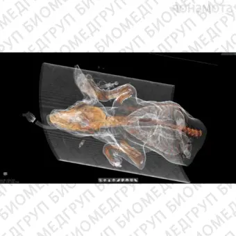 MyVet CT i3D  спиральный компьютерный томограф для ветеринарии