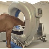 Ветеринарный рентгеновский сканер Pegaso™